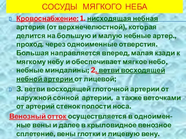 СОСУДЫ МЯГКОГО НЕБА Кровоснабжение: 1. нисходящая небная артерия (от верхнечелюстной),