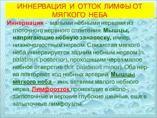 ИННЕРВАЦИЯ И ОТТОК ЛИМФЫ ОТ МЯГКОГО НЕБА Иннервация - малыми