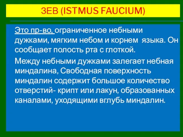 ЗЕВ (ISTMUS FAUCIUM) Это пр-во, ограниченное небными дужками, мягким небом