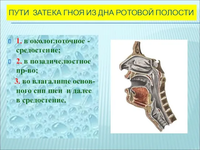 ПУТИ ЗАТЕКА ГНОЯ ИЗ ДНА РОТОВОЙ ПОЛОСТИ 1. в окологлоточное