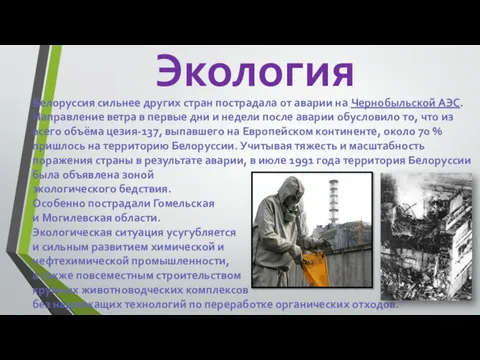 Белоруссия сильнее других стран пострадала от аварии на Чернобыльской АЭС.