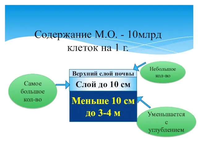 Содержание М.О. - 10млрд клеток на 1 г. Небольшое кол-во