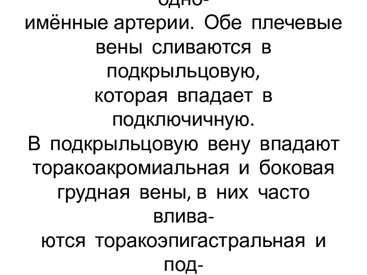 Глубокие вены верхней конечно- сти сопровождают попарно одно- имённые артерии.