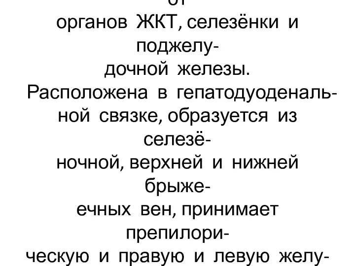 Воротная вена собирает кровь от органов ЖКТ, селезёнки и поджелу-