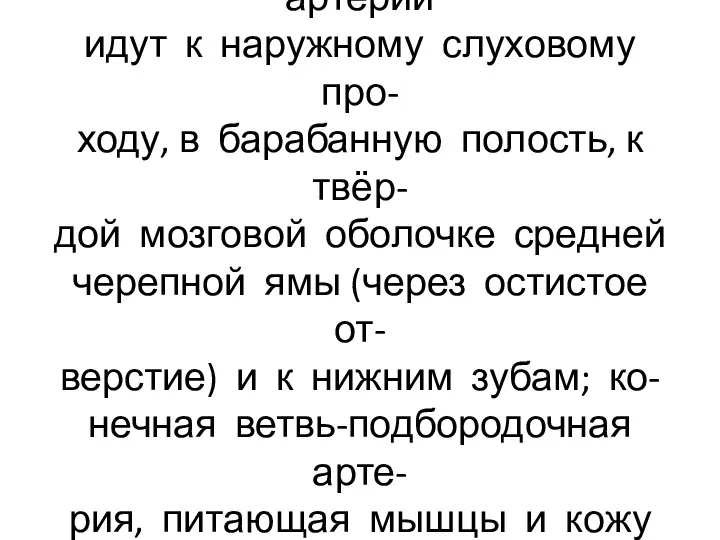 Ветви 1 отдела челюстной артерии идут к наружному слуховому про-