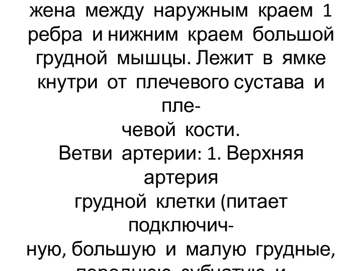 Подкрыльцовая артерия располо- жена между наружным краем 1 ребра и