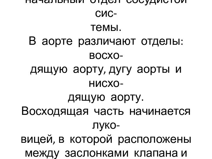 Аорта – основной ствол артерий большого круга кровобращения, начальный отдел