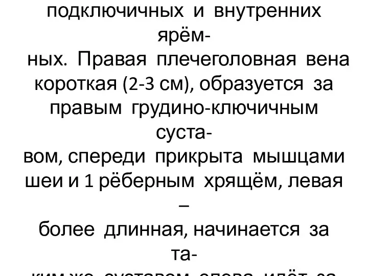 Плечеголовные вены сливаются из подключичных и внутренних ярём- ных. Правая