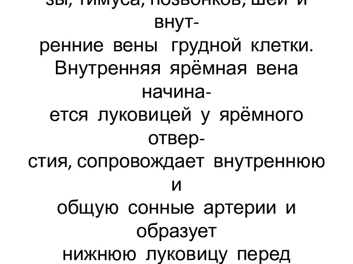 В плечеголовные вены впадают нижние вены щитовидной желе- зы, тимуса,