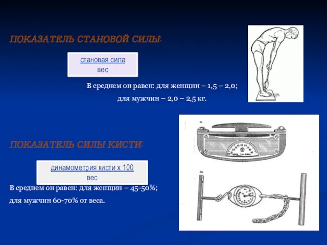 ПОКАЗАТЕЛЬ СТАНОВОЙ СИЛЫ: В среднем он равен: для женщин –