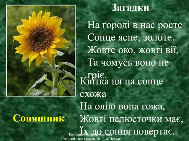 Тимченко Любов Василівна Спеціалізована школа № 13 м. Черкас Квітка