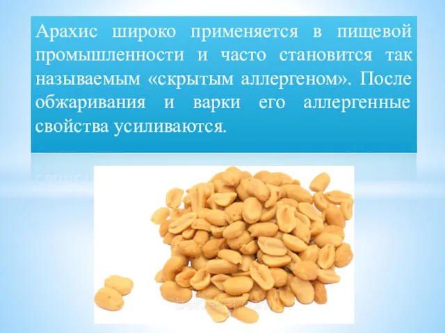 Арахис широко применяется в пищевой промышленности и часто становится так