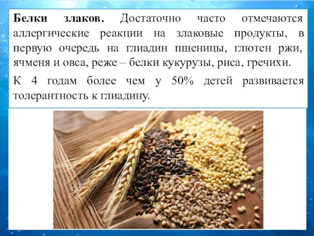 Белки злаков. Достаточно часто отмечаются аллергические реакции на злаковые продукты,