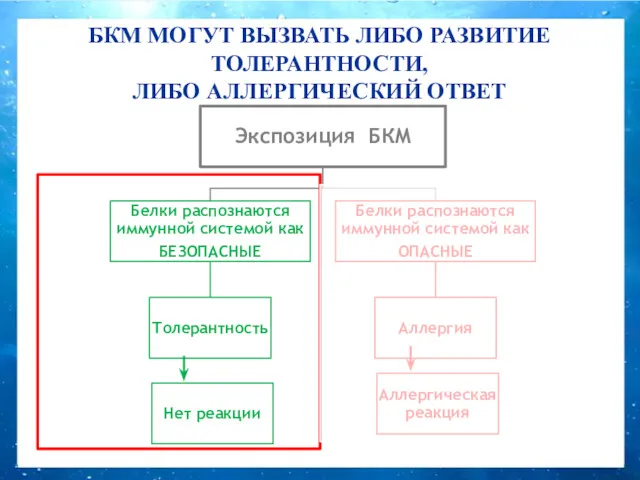 БКМ МОГУТ ВЫЗВАТЬ ЛИБО РАЗВИТИЕ ТОЛЕРАНТНОСТИ, ЛИБО АЛЛЕРГИЧЕСКИЙ ОТВЕТ