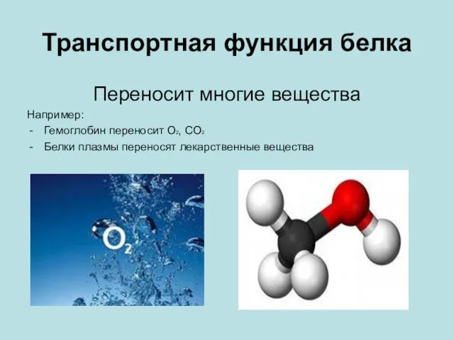 Транспортная функция белка Переносит многие вещества Например: Гемоглобин переносит О2, СО2 Белки плазмы переносят лекарственные вещества