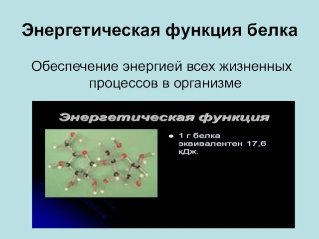 Энергетическая функция белка Обеспечение энергией всех жизненных процессов в организме