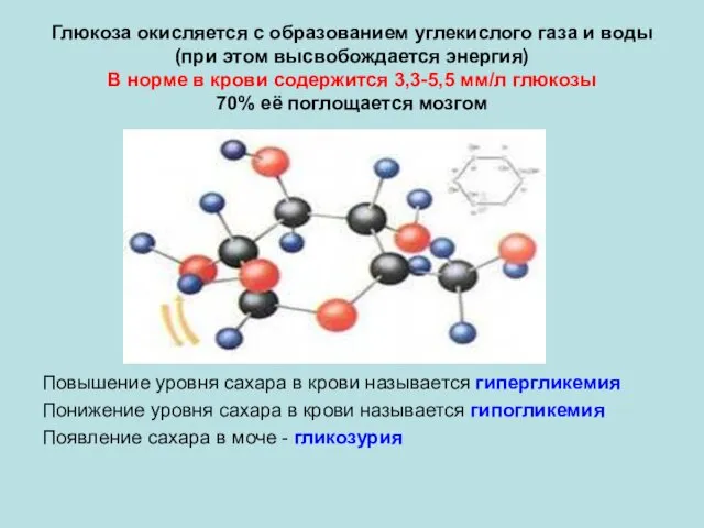 Глюкоза окисляется с образованием углекислого газа и воды (при этом