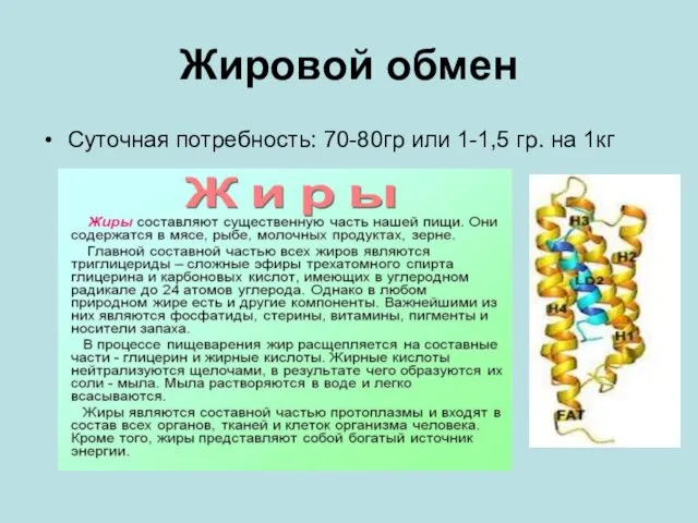 Жировой обмен Суточная потребность: 70-80гр или 1-1,5 гр. на 1кг