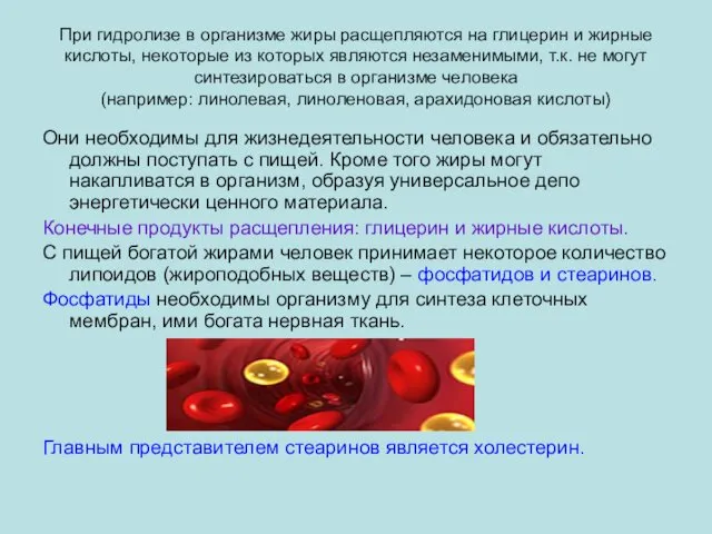 При гидролизе в организме жиры расщепляются на глицерин и жирные