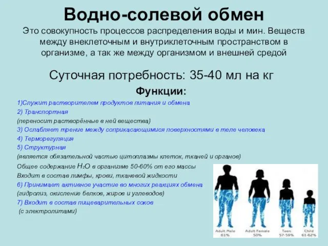 Водно-солевой обмен Это совокупность процессов распределения воды и мин. Веществ