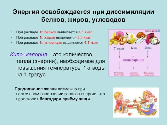 Энергия освобождается при диссимиляции белков, жиров, углеводов При распаде 1г.