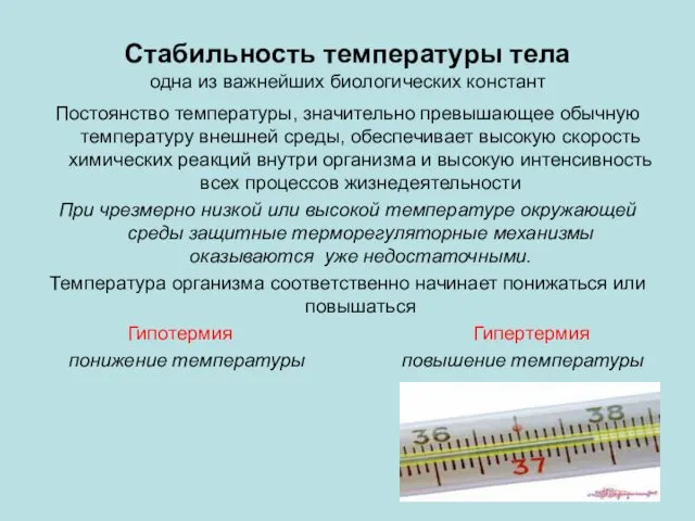 Стабильность температуры тела одна из важнейших биологических констант Постоянство температуры,