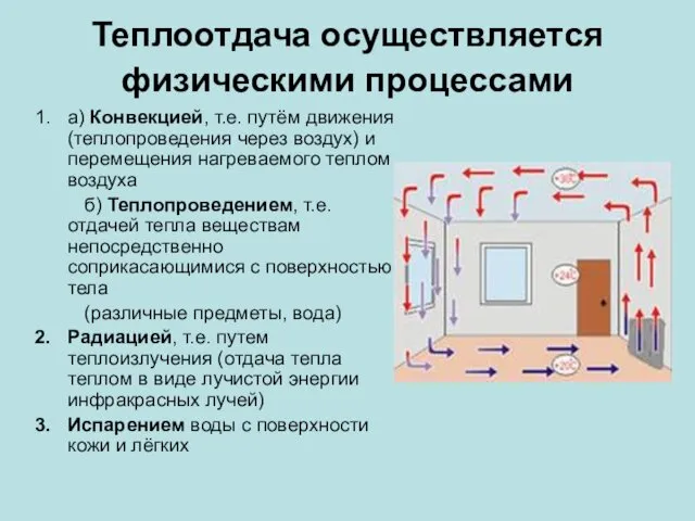 Теплоотдача осуществляется физическими процессами а) Конвекцией, т.е. путём движения (теплопроведения