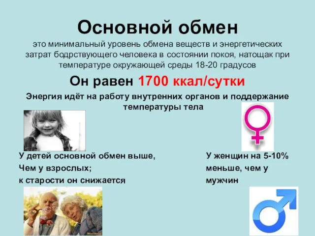 Основной обмен это минимальный уровень обмена веществ и энергетических затрат