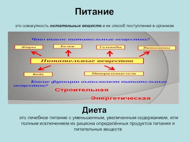 Питание это совокупность питательных веществ и их способ поступления в