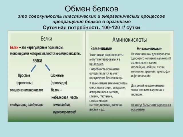 Обмен белков это совокупность пластических и энергетических процессов превращения белков