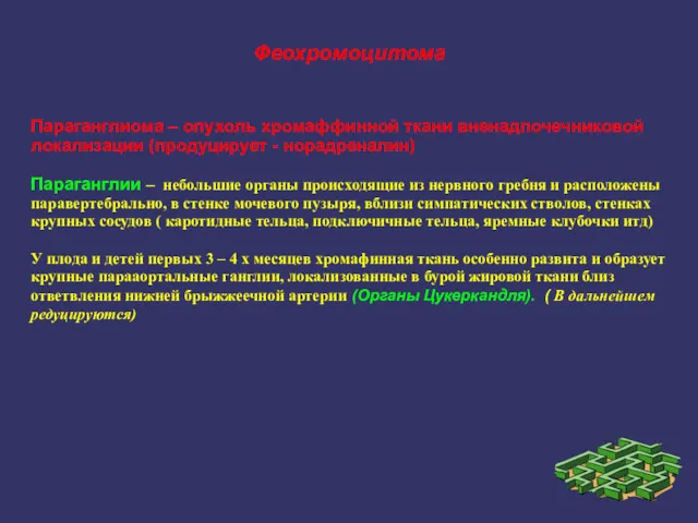 Феохромоцитома Параганглиома – опухоль хромаффинной ткани вненадпочечниковой локализации (продуцирует -