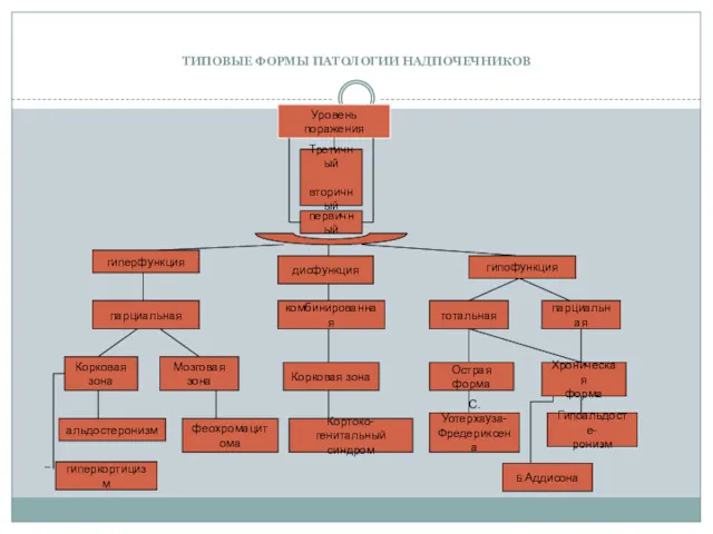 ТИПОВЫЕ ФОРМЫ ПАТОЛОГИИ НАДПОЧЕЧНИКОВ Уровень поражения Третичный вторичный первичный гиперфункция