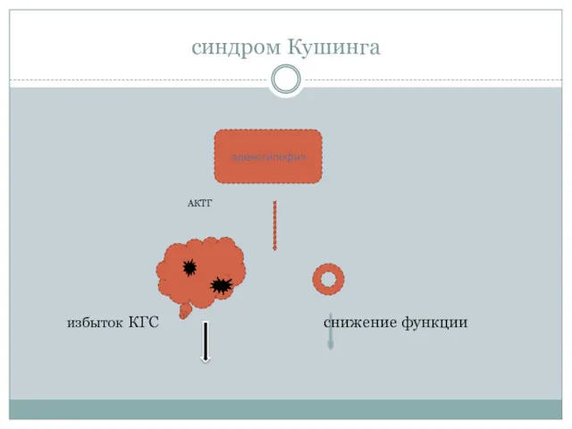 синдром Кушинга АКТГ избыток КГС снижение функции аденогипофиз