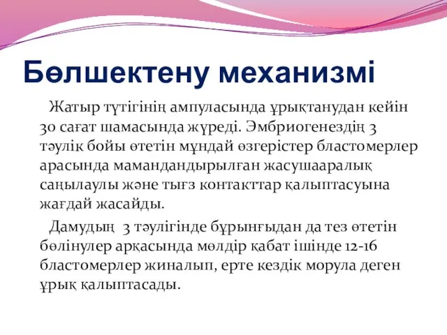 Бөлшектену механизмі Жатыр түтігінің ампуласында ұрықтанудан кейін 30 сағат шамасында