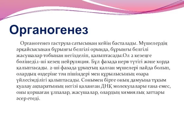 Органогенез Органогенез гаструла сатысынан кейін басталады. Мүшелердің әрқайсысынан бұрынғы белгілі