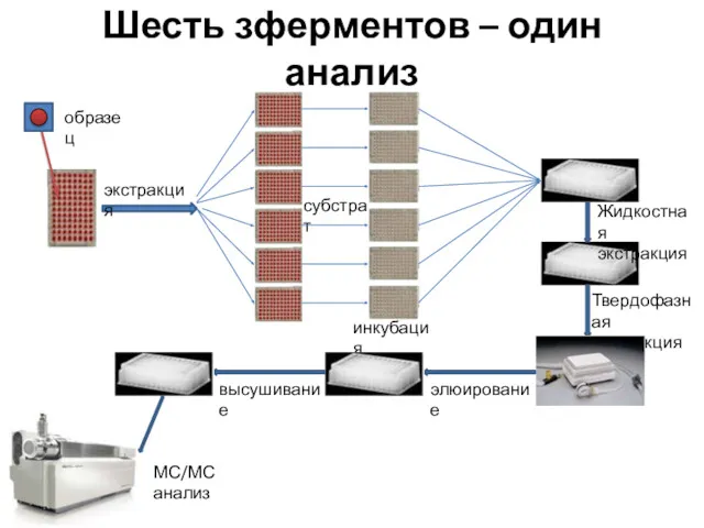 Шесть зферментов – один анализ экстракция образец субстрат инкубация Жидкостная экстракция Твердофазная экстракция