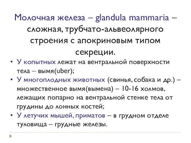 Молочная железа – glandula mammaria – сложная, трубчато-альвеолярного строения с