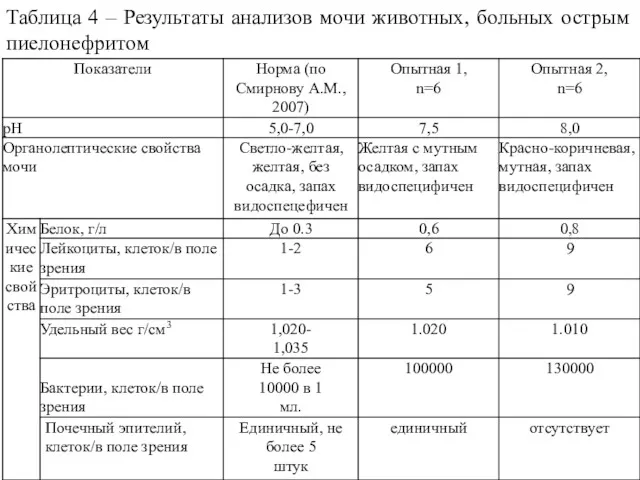 Таблица 4 – Результаты анализов мочи животных, больных острым пиелонефритом