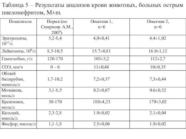 Таблица 5 – Результаты анализов крови животных, больных острым пиелонефритом, M±m.