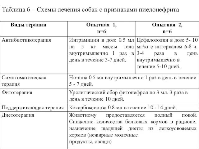 Таблица 6 – Схемы лечения собак с признаками пиелонефрита