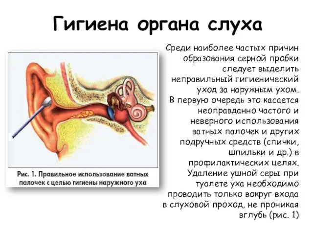 Гигиена органа слуха Среди наиболее частых причин образования серной пробки