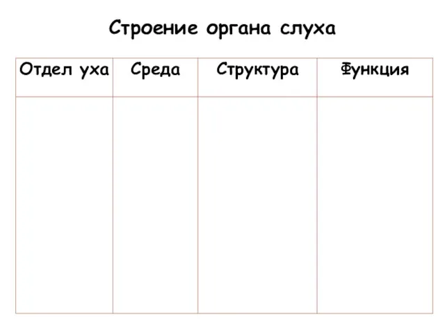 Строение органа слуха