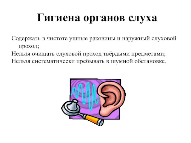 Гигиена органов слуха Содержать в чистоте ушные раковины и наружный