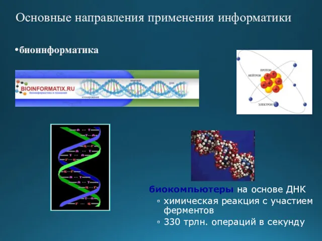 Основные направления применения информатики биоинформатика биокомпьютеры на основе ДНК химическая