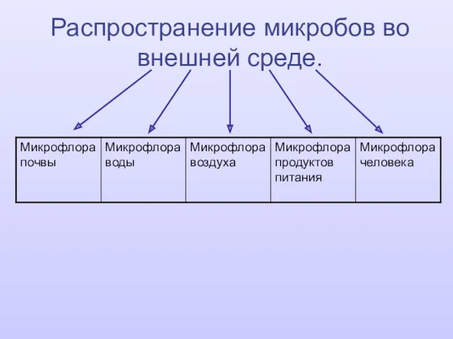 Распространение микробов во внешней среде.