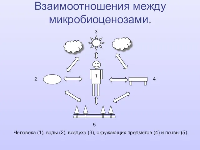 3 4 5 2 1 Человека (1), воды (2), воздуха