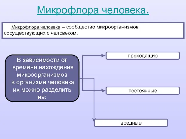 Микрофлора человека – сообщество микроорганизмов, сосуществующих с человеком. Микрофлора человека.