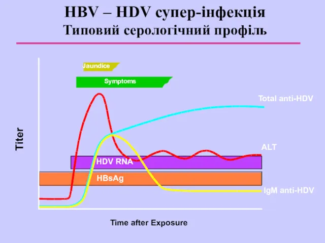 HBV – HDV супер-інфекція Типовий серологічний профіль