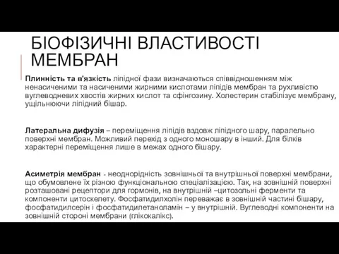 БІОФІЗИЧНІ ВЛАСТИВОСТІ МЕМБРАН Плинність та в'язкість ліпідної фази визначаються співвідношенням