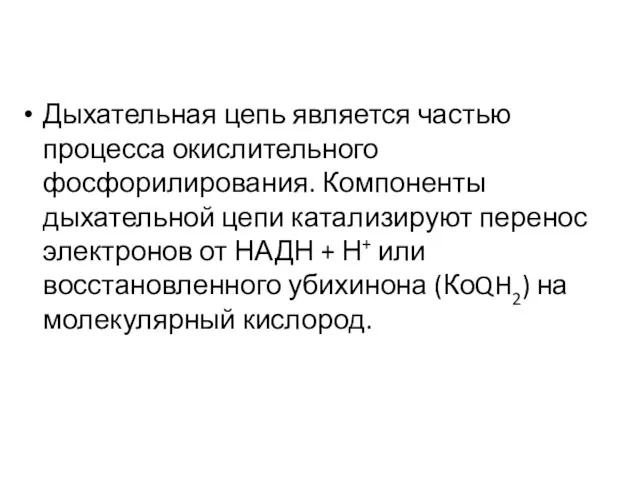 Дыхательная цепь является частью процесса окислительного фосфорилирования. Компоненты дыхательной цепи